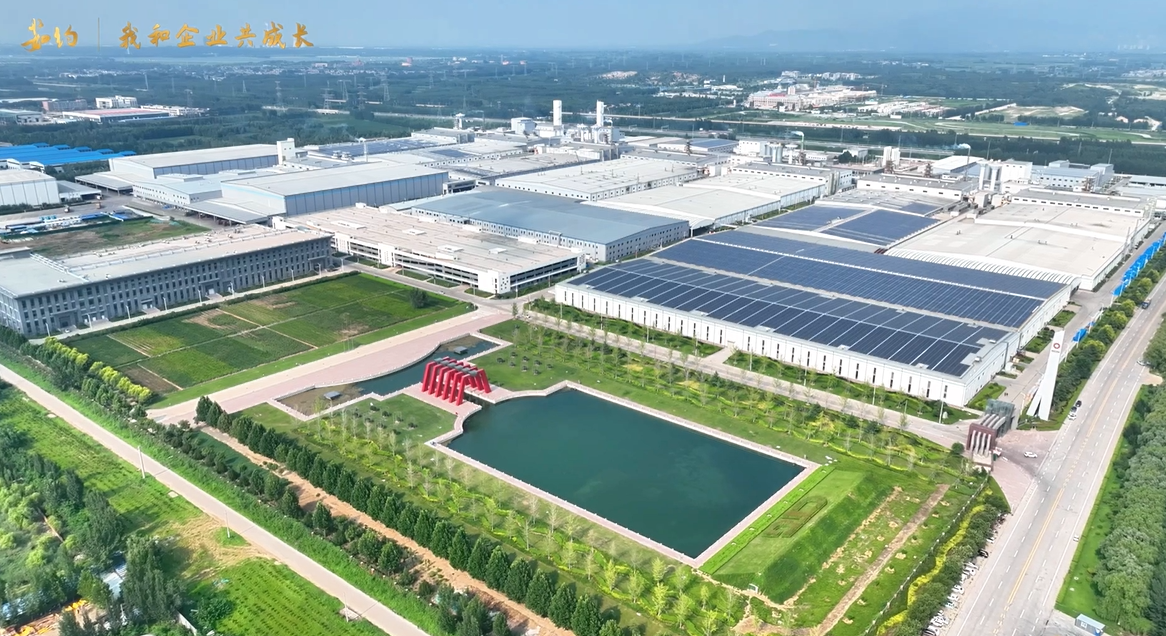 《茹约·我和企业共成长》建材工业人文纪录片上线👩‍🔬！第1期对话泰玻总工程师张德刚